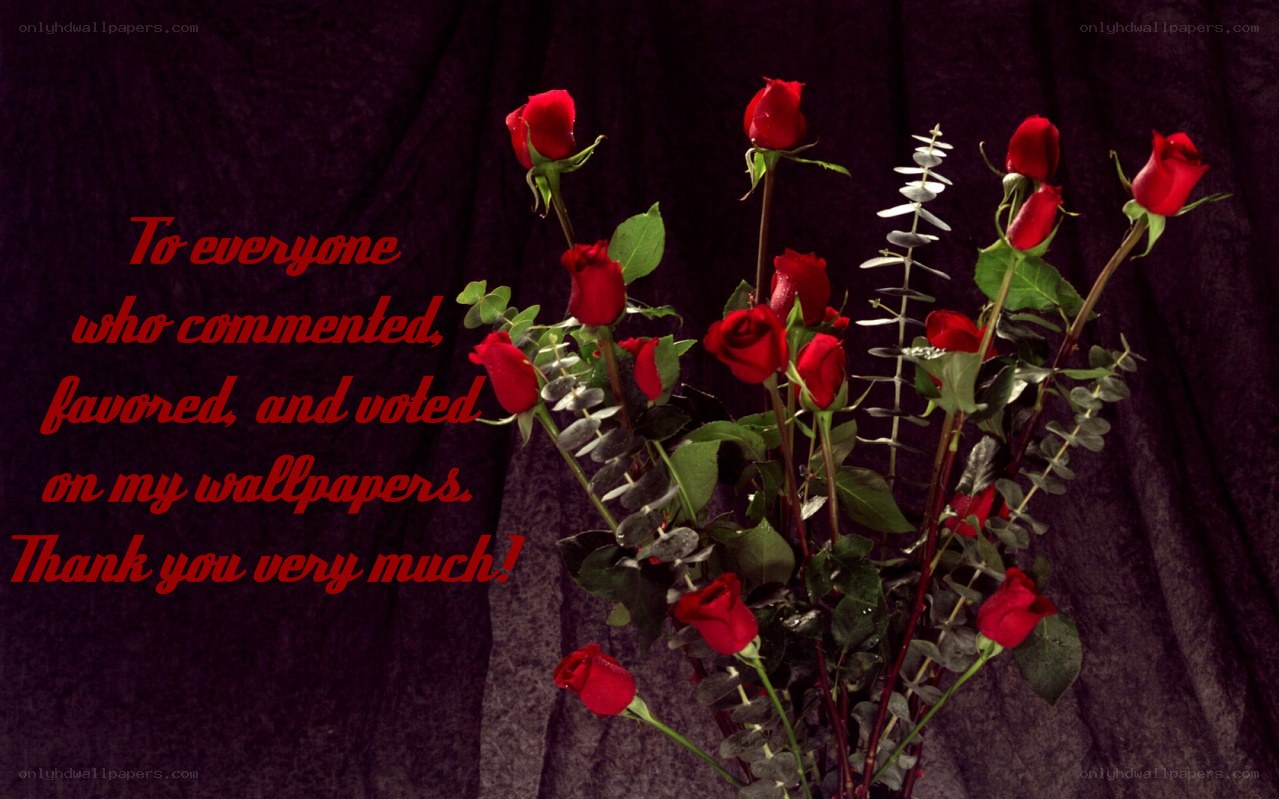 Red roses bouquet