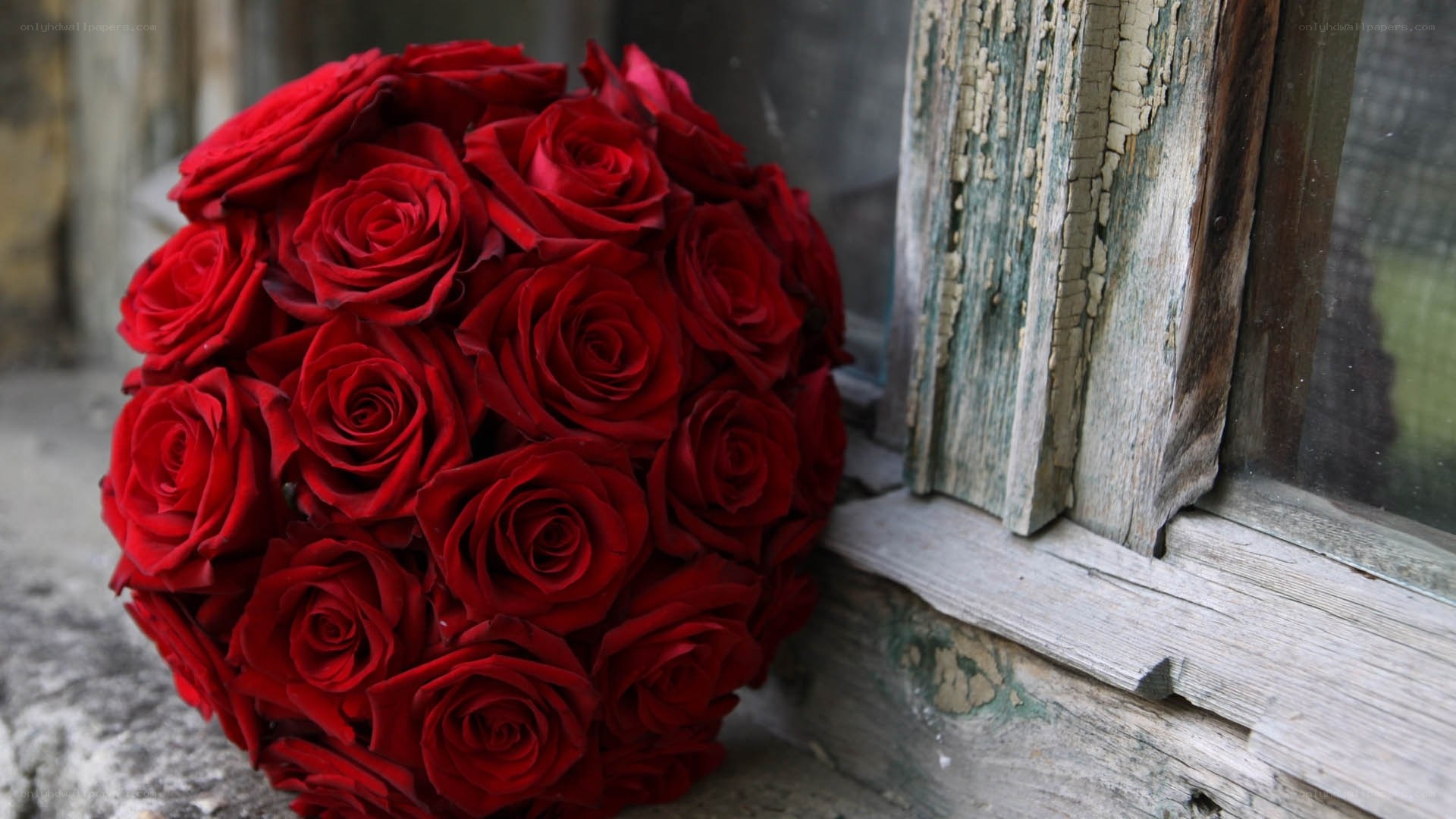 red roses bouquet by window