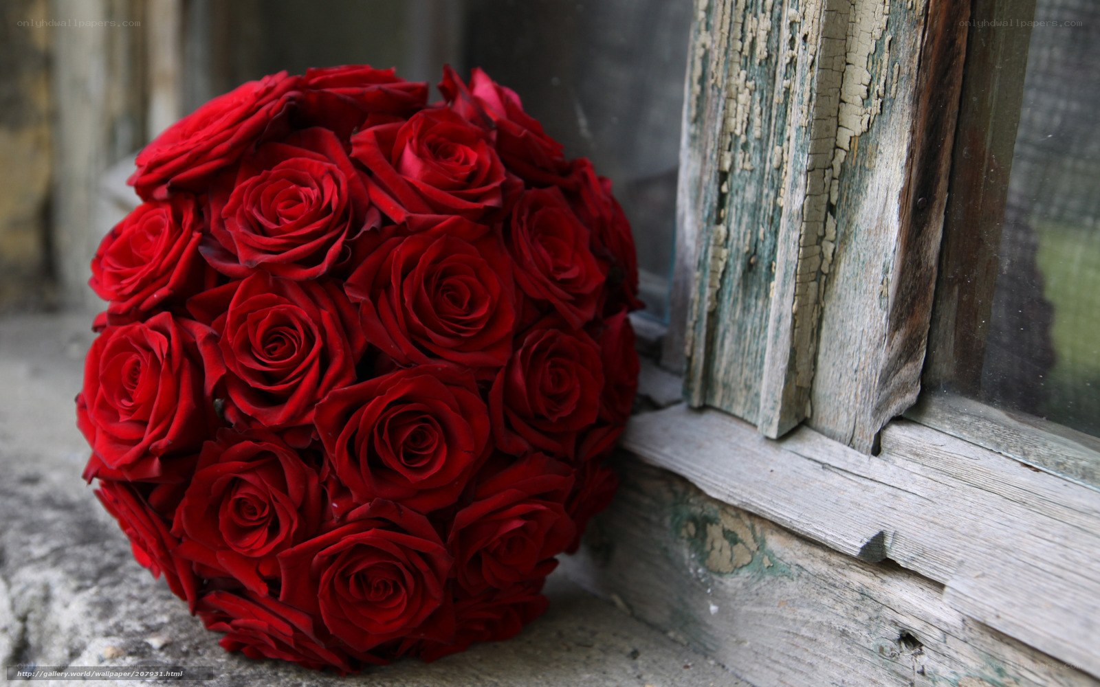 red roses bouquet by window