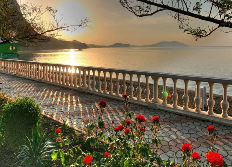 Red Roses by Sea — Serene, Sunrise, Photograph