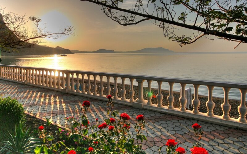 Red Roses by Sea — Serene, Sunrise