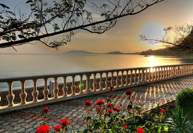 Red Roses by Sea — Serene, Sunset