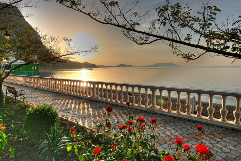 Red Roses by Sea — Serene