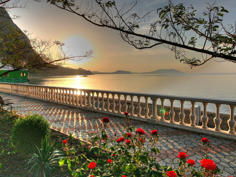 Red Roses by Sea