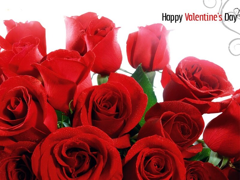 Red roses for Valentine's Day