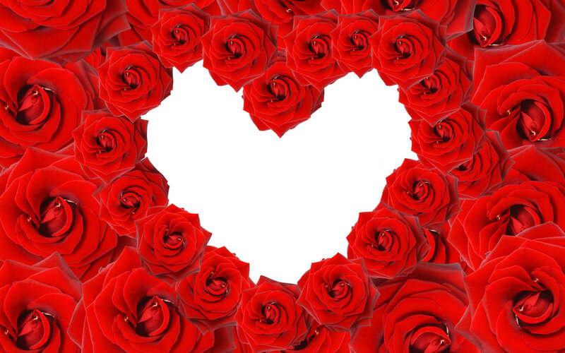 Red Roses Forming Heart — Romantic, Photograph