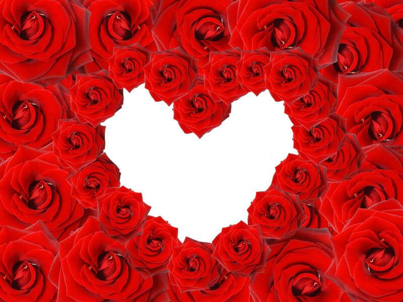 Red Roses Forming Heart — Romantic