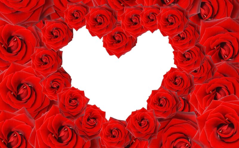red roses forming heart