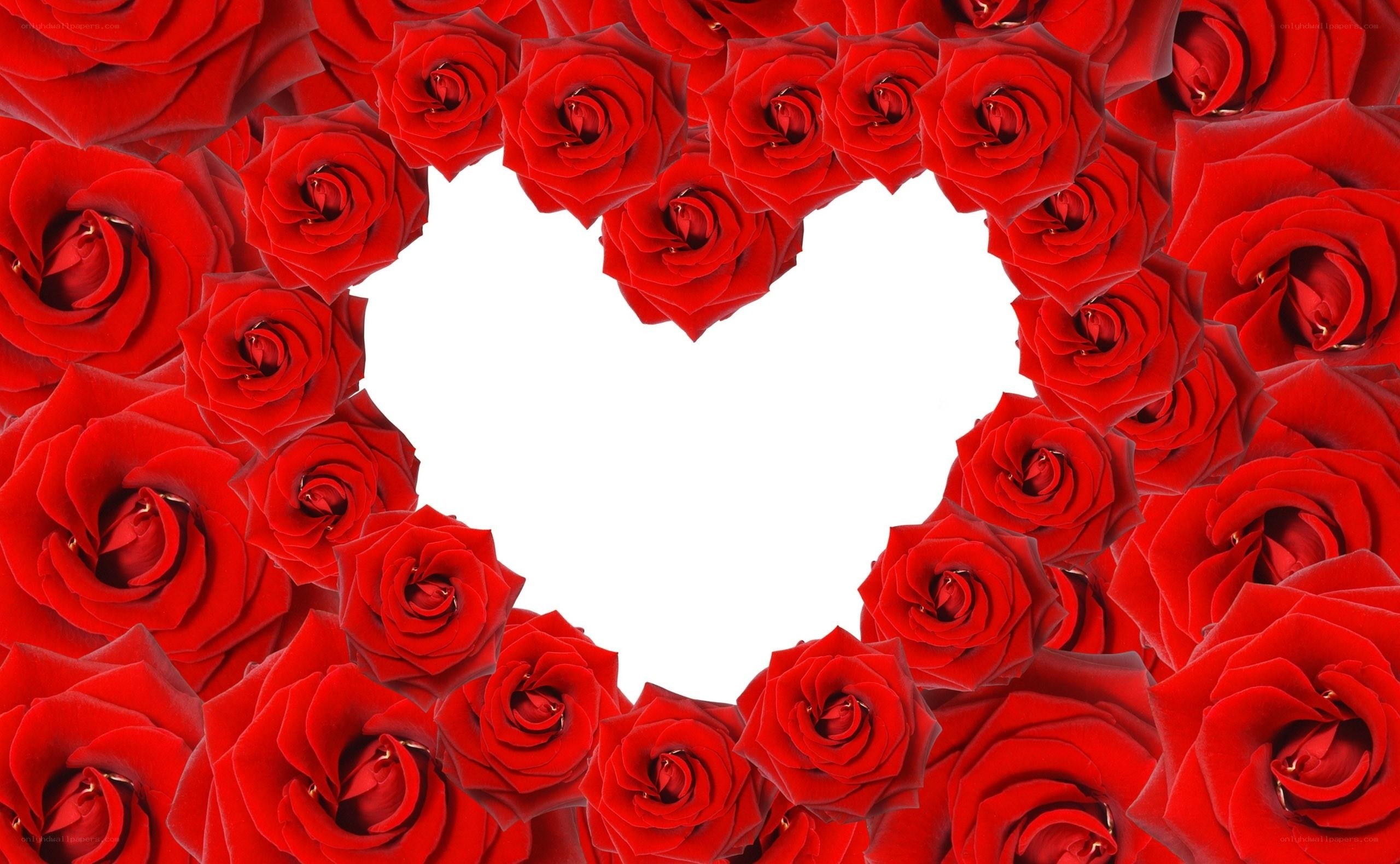 red roses forming heart
