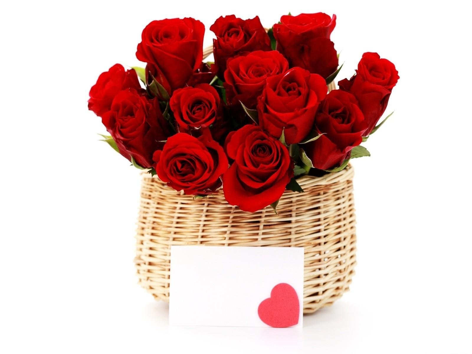 Red roses in a basket
