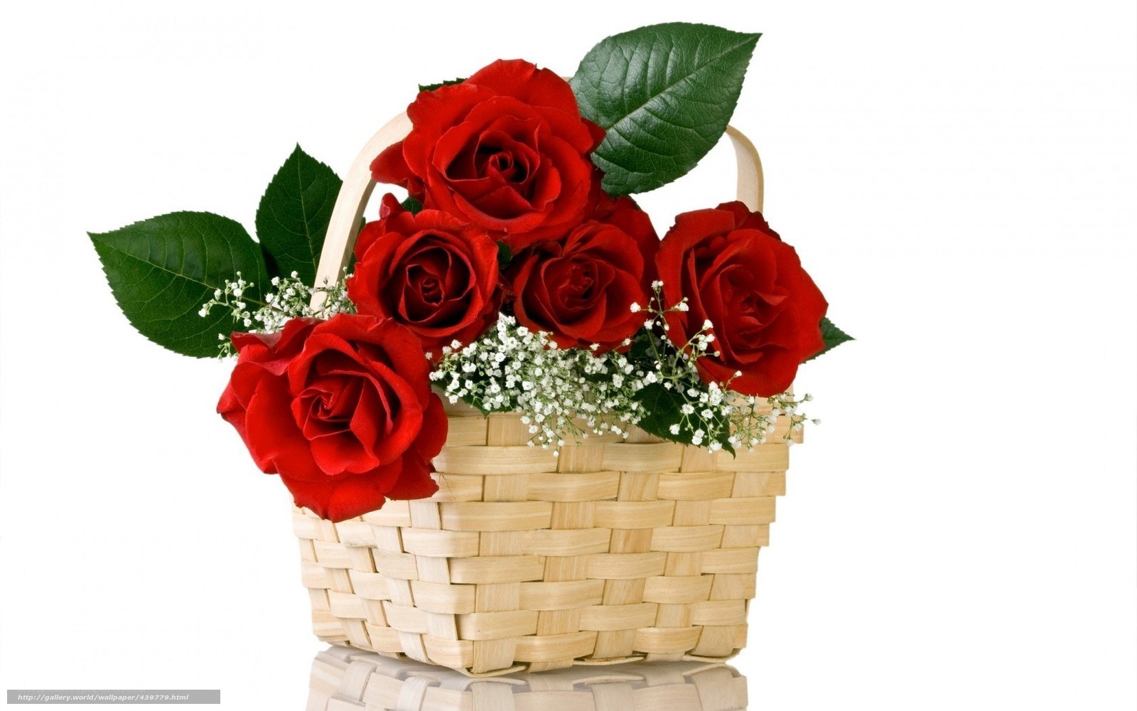 Red roses in a basket