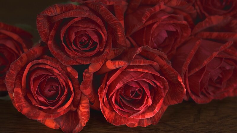 Red roses in a bouquet