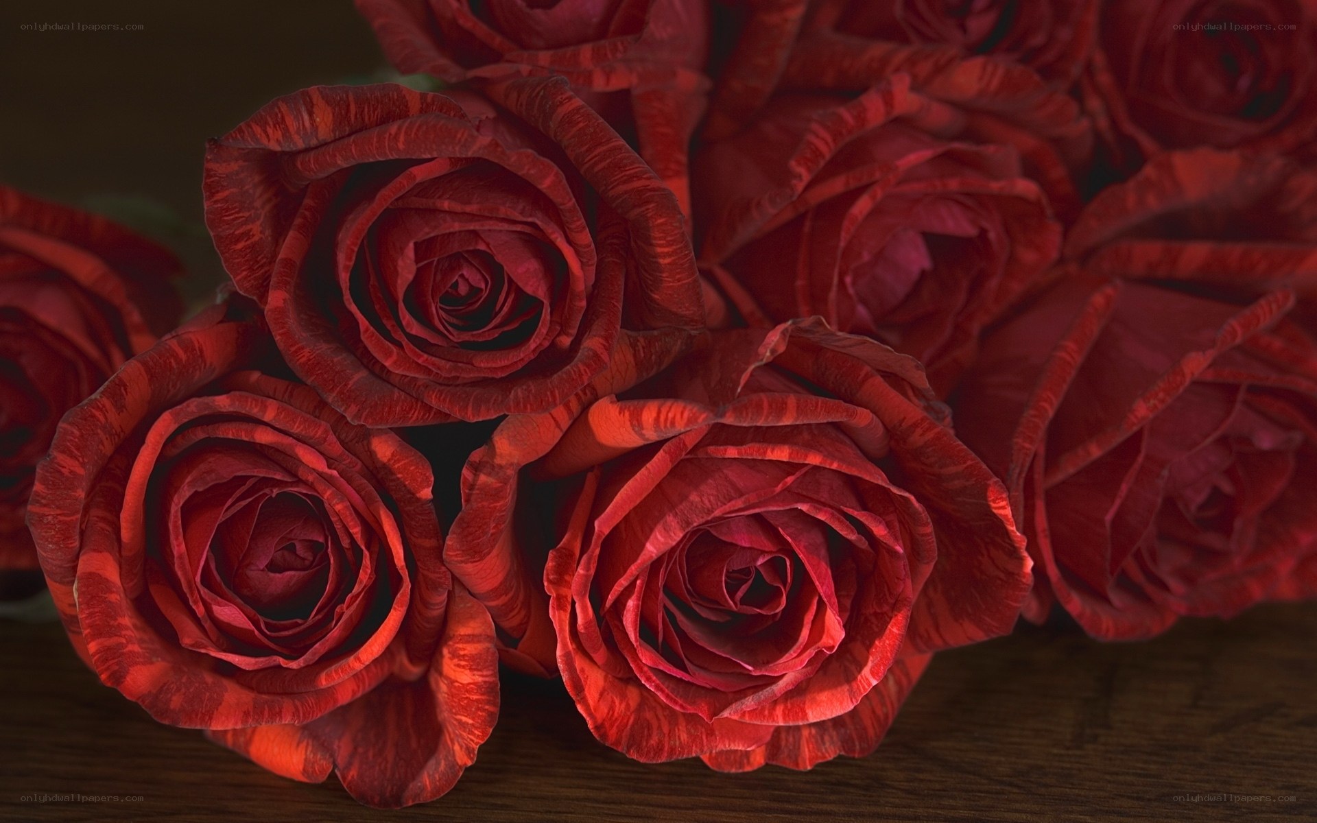 Red roses in a bouquet