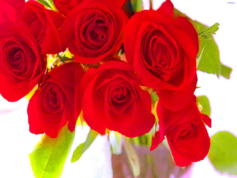 Red Roses in a Bouquet — Bright