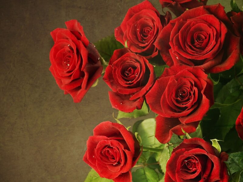 Red Roses in a Bouquet — Calm, Photograph, Green Leaves, Water Droplets