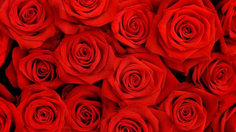 Red Roses in a Bouquet — Dense, Photograph, Petals