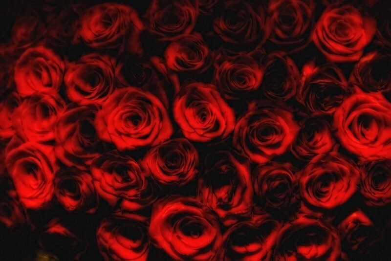 Red Roses in a Bouquet — Dramatic, Photograph, Dark Background