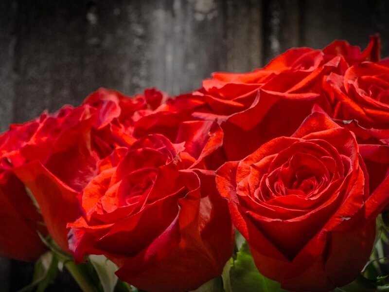 Red Roses in a Bouquet — Dramatic, Photograph, Green Leaves, Dark Background