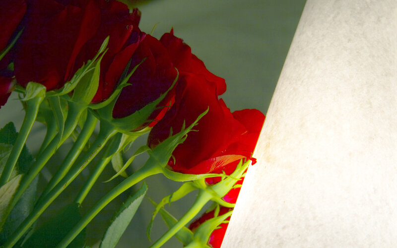 Red Roses in a Bouquet — Dramatic, Photograph, Green Stems