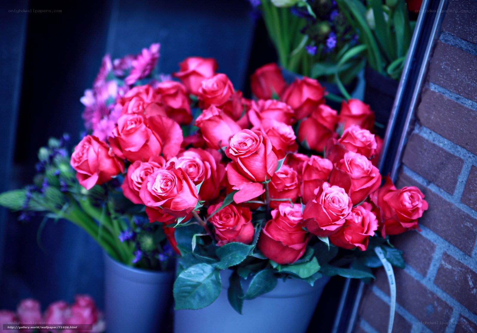 Red roses in a bouquet