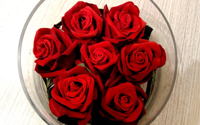 Red Roses in a Bowl