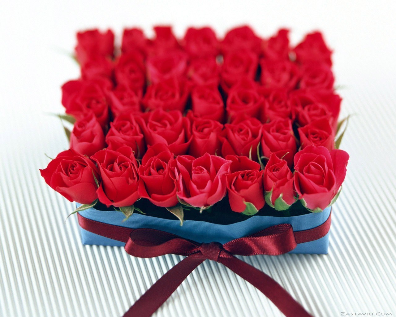 Red roses in a box