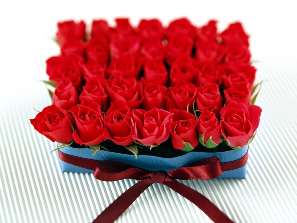 red roses in a box