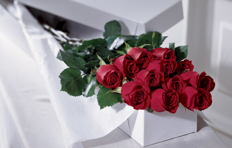 Red Roses in a Box — Calm