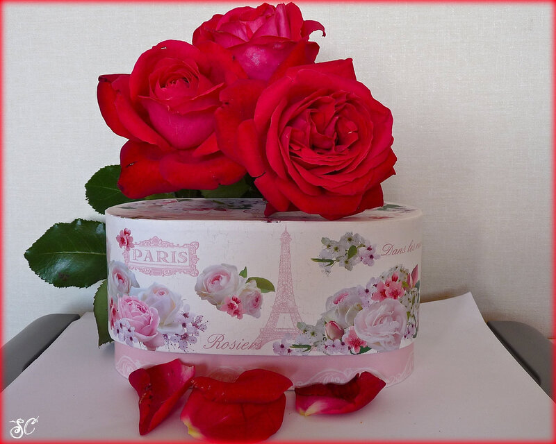 Red Roses in a Box — Romantic