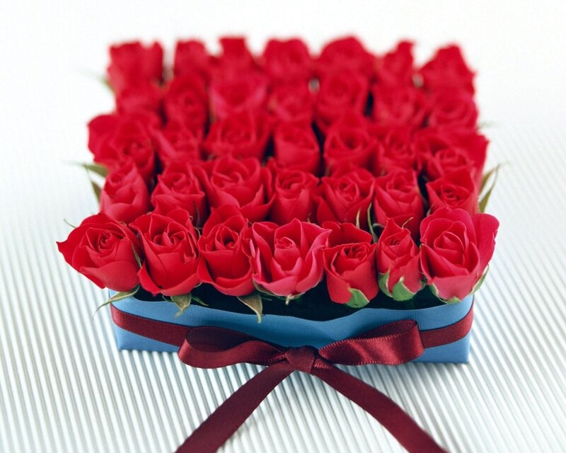 Red roses in a box