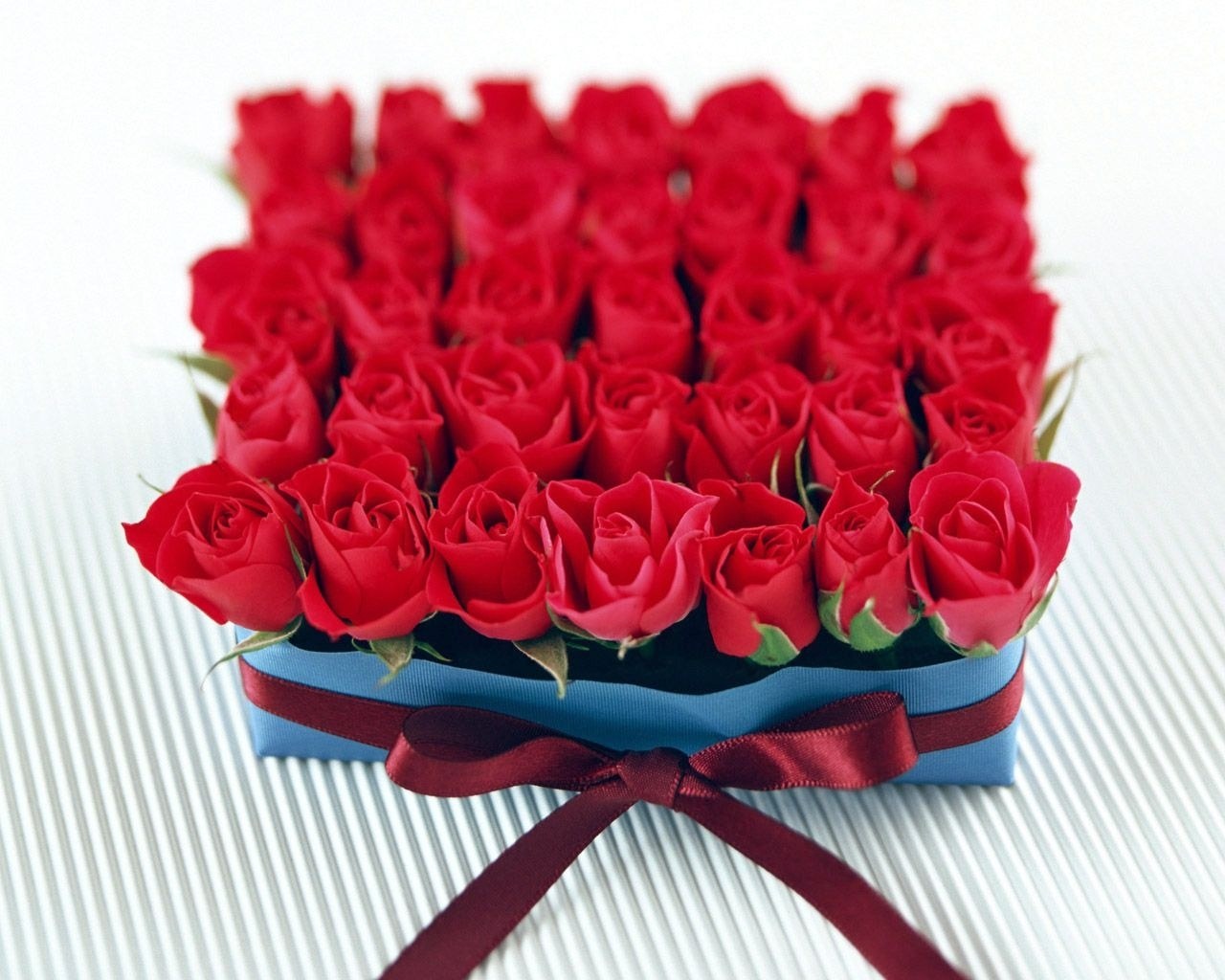 Red roses in a box