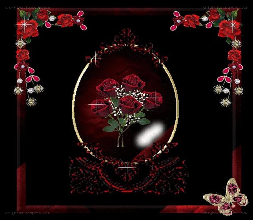 Red roses in a decorative frame