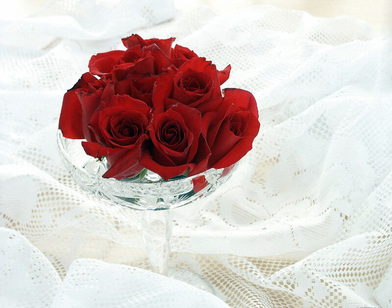 Red roses in a glass bowl