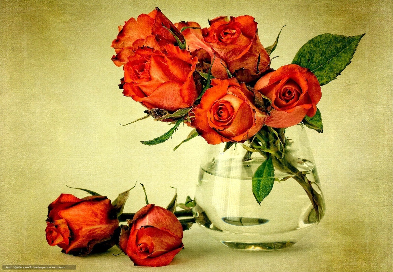 Red roses in a glass vase