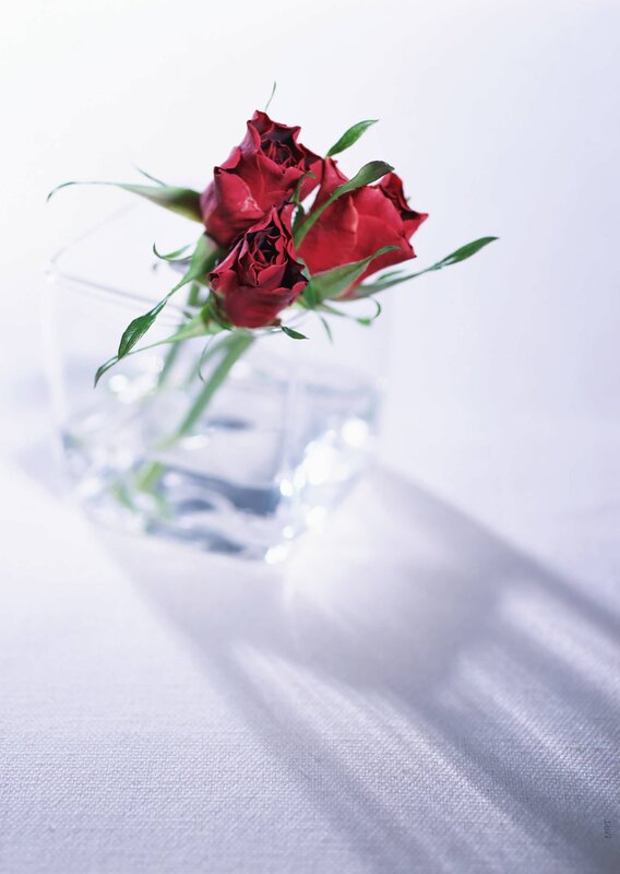 Red roses in a glass vase
