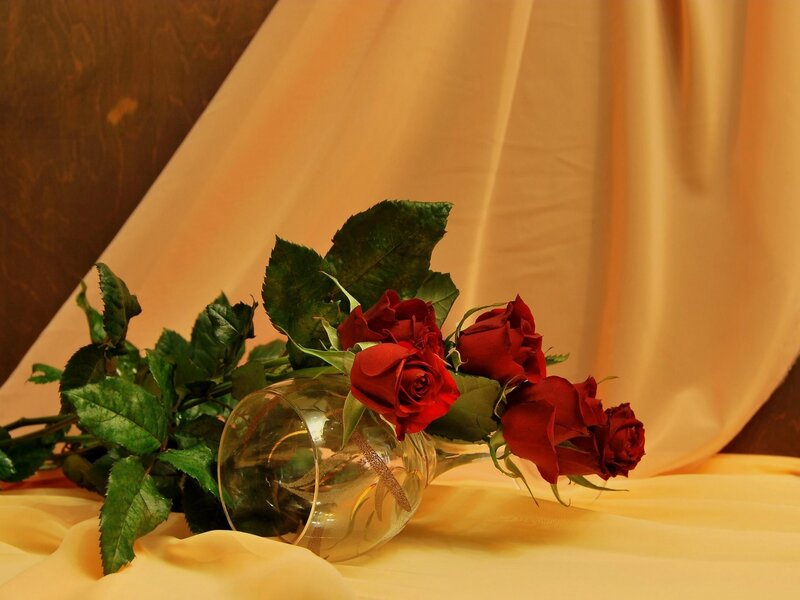Red roses in a glass vase