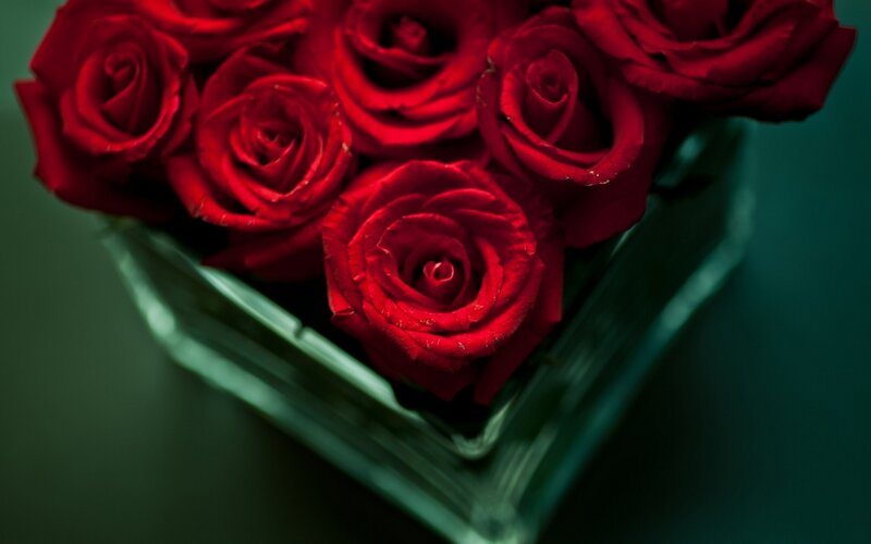 red roses in a heart-shaped box