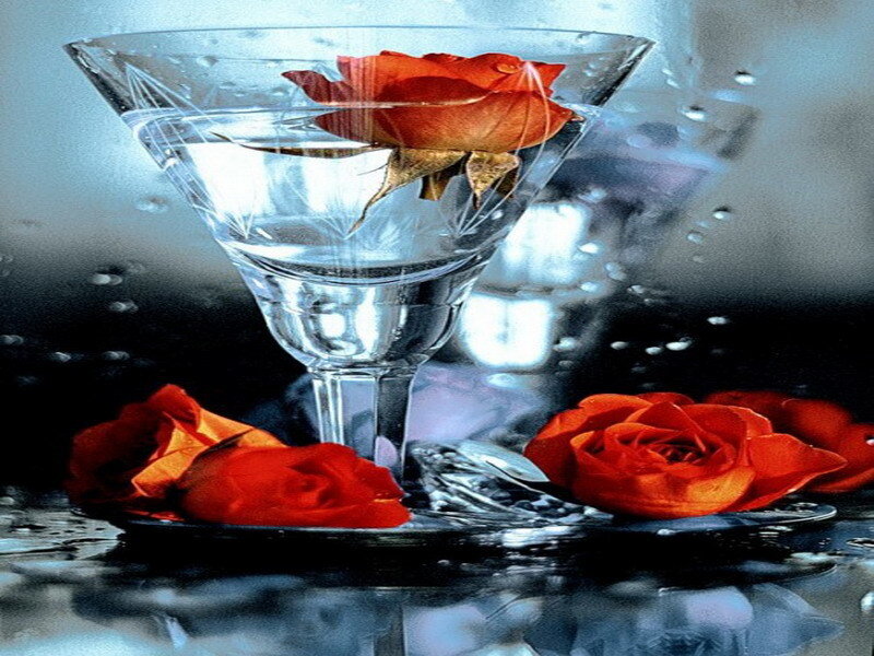 Red roses in a martini glass