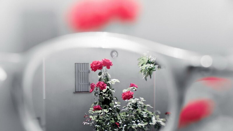 Red roses in a monochrome scene