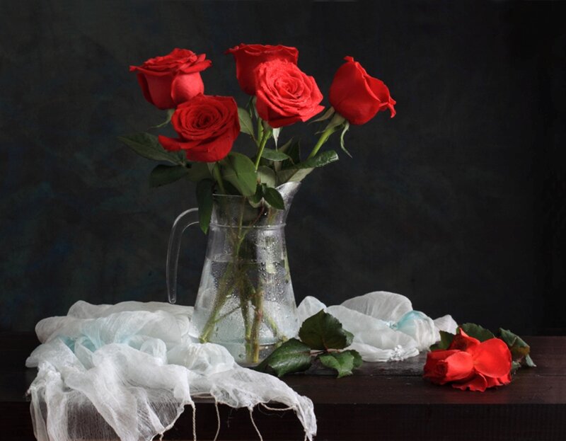 Red Roses in a Pitcher — Dramatic