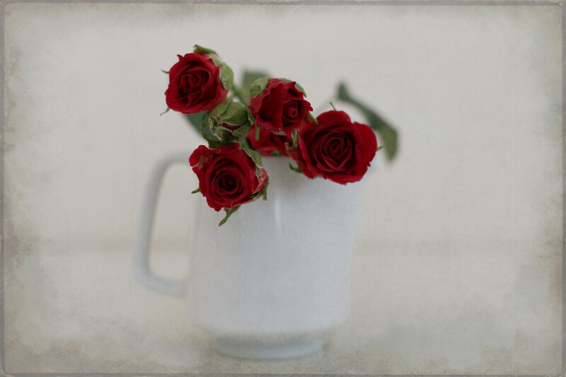 Red Roses in a Pitcher