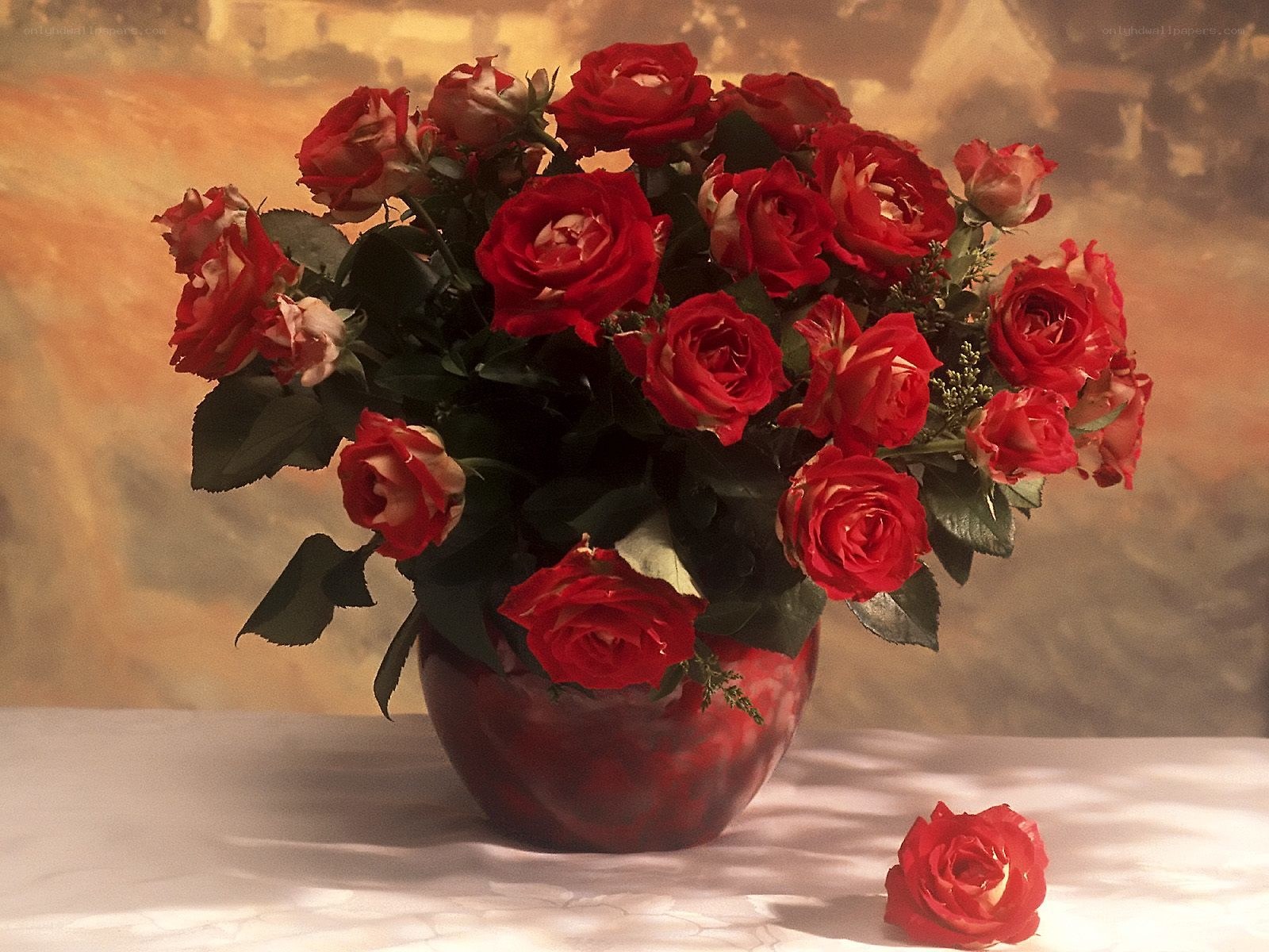 Red roses in a vase
