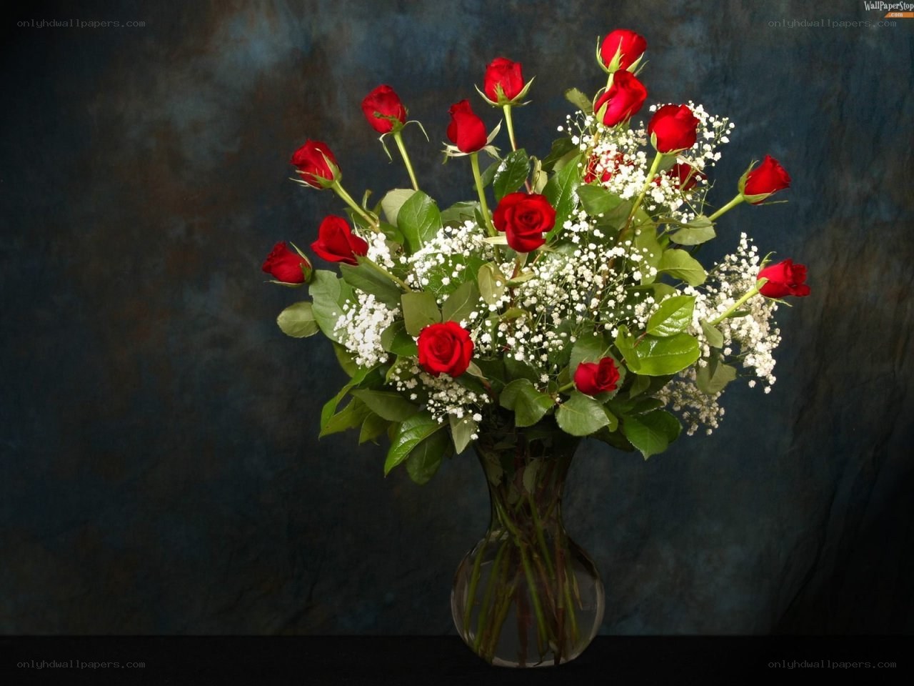 Red roses in a vase