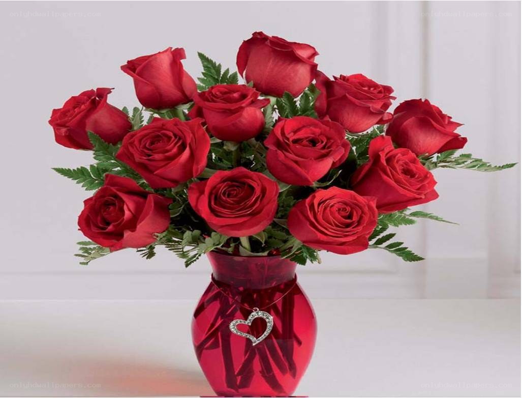 red roses in a vase