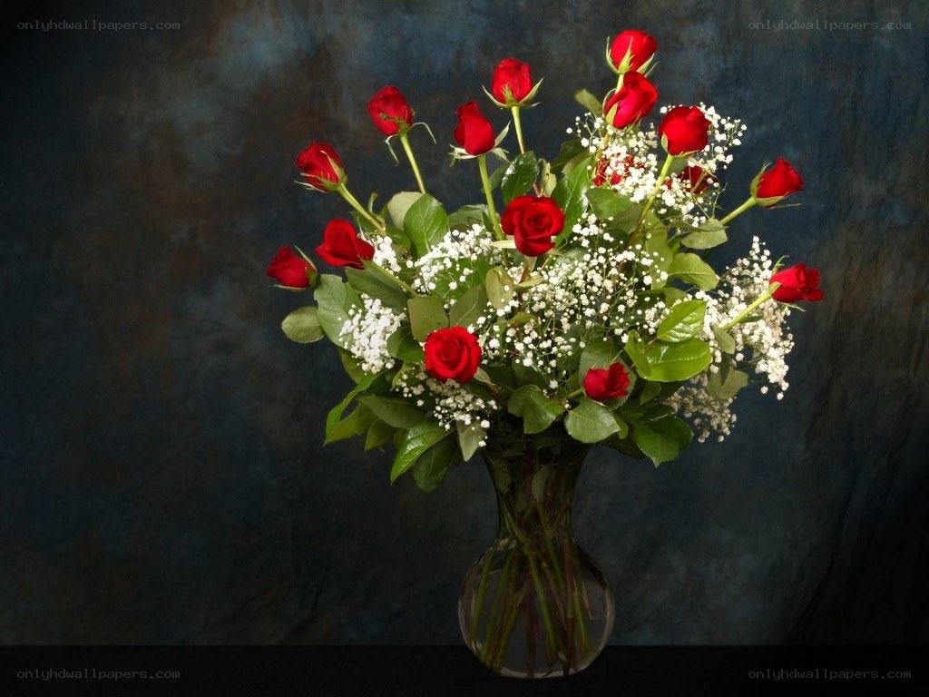 Red roses in a vase