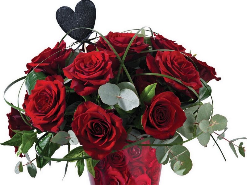 Red roses in a vase