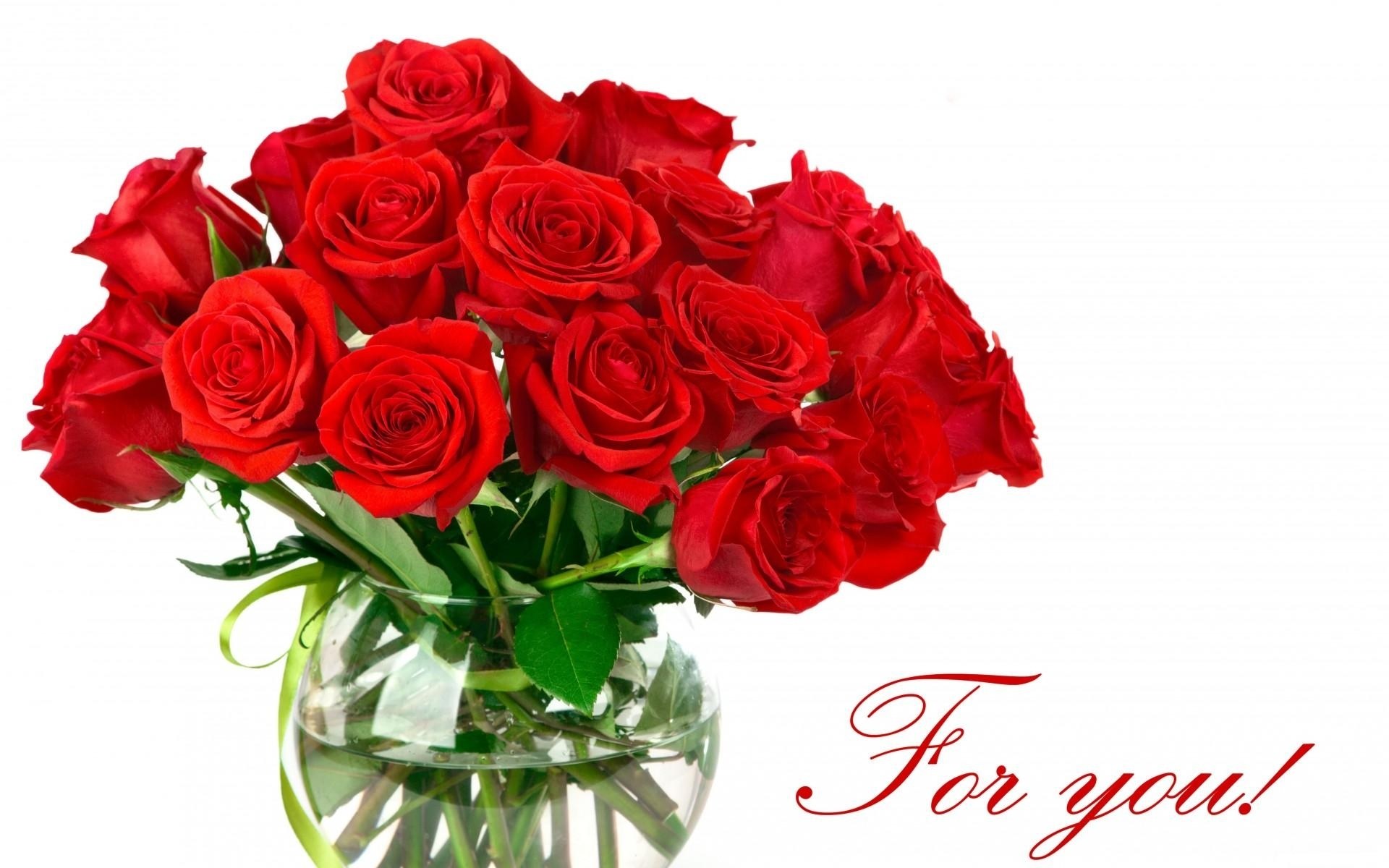 Red roses in a vase