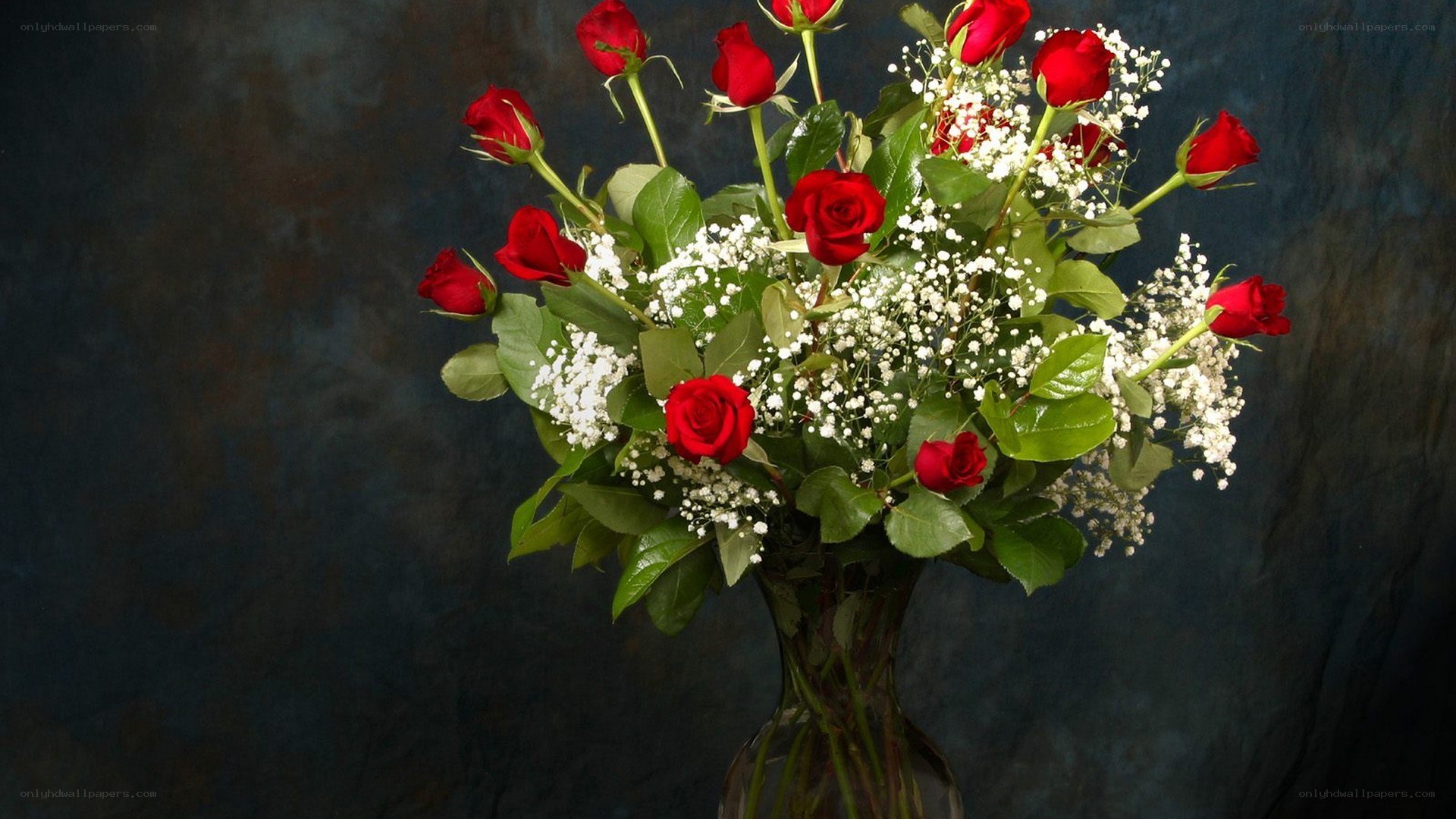 red roses in a vase