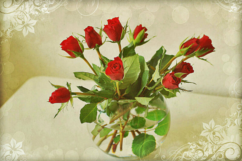 Red Roses in a Vase — Calm, Photograph, Green Leaves, Table
