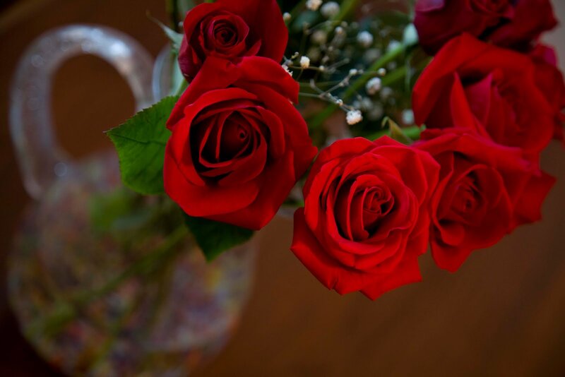 Red Roses in a Vase — Calm, Photograph, Green Leaves